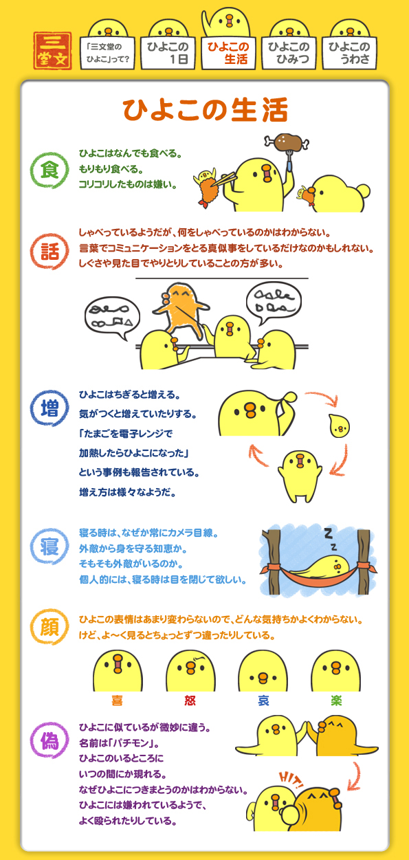 三文堂(・8・)ひよこ特設サイト|ひよこの生活